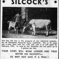 Silcocks Feed Advertisement