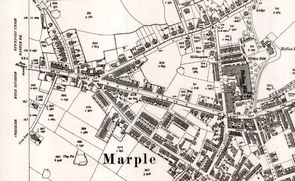 marple 1911